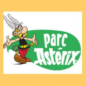 Pack Pass x 4 - Parc Astrix-Mer de Sable -Muse Grvin-France Miniature  - Pass-Enfant Annuel